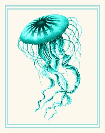 Framed Mixed Nautical Turquoise on Cream c Print