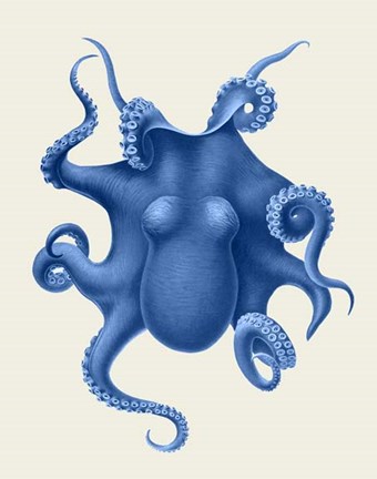 Framed Blue Octopus on Cream d Print