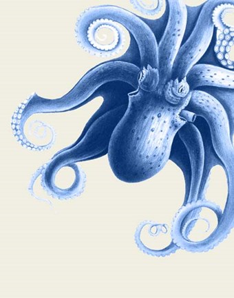 Framed Blue Octopus on Cream f Print