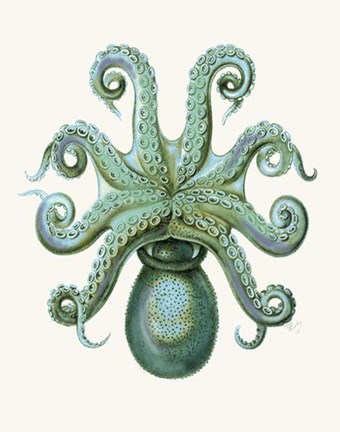 Framed Turquoise Octopus and Squid c Print