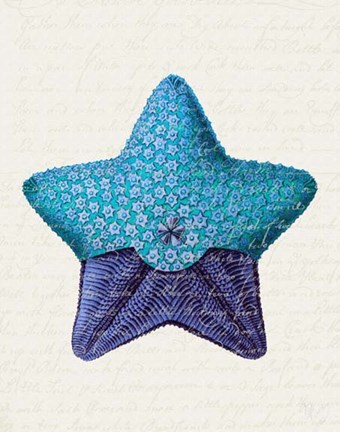Framed Starfish in Shades of Blue a Print