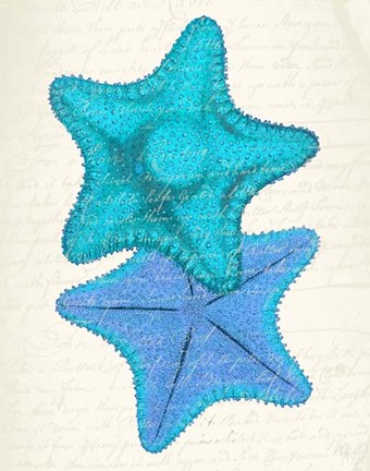Framed Starfish in Shades of Blue b Print