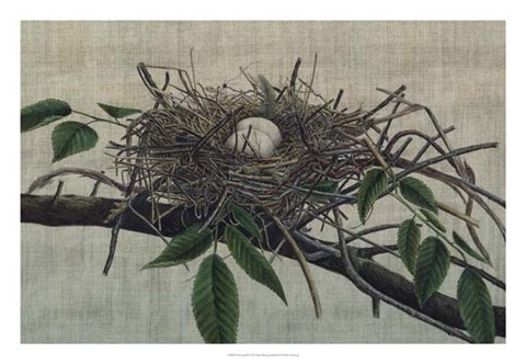 Framed Nesting III Print