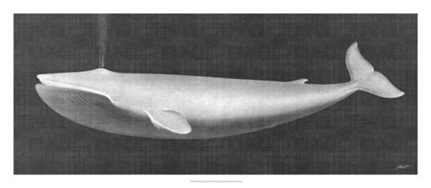 Framed Whale Watching I Print