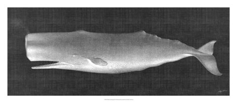 Framed Whale Watching II Print