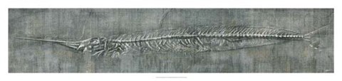 Framed Fossil Imprint II Print