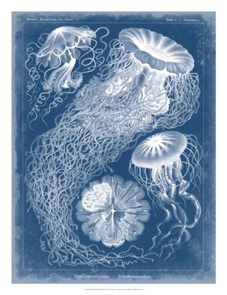 Framed Marine Blueprint II Print