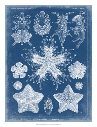 Framed Marine Blueprint III Print