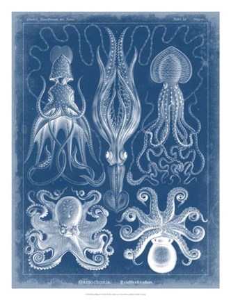 Framed Marine Blueprint V Print