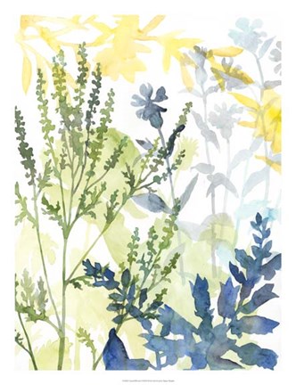 Framed Layered Blooms I Print