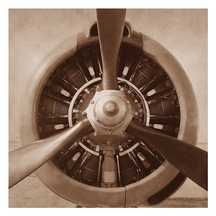 Framed Aviation 2 Print