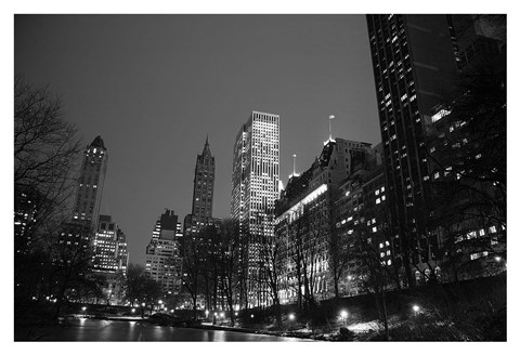 Framed Central Park View Print