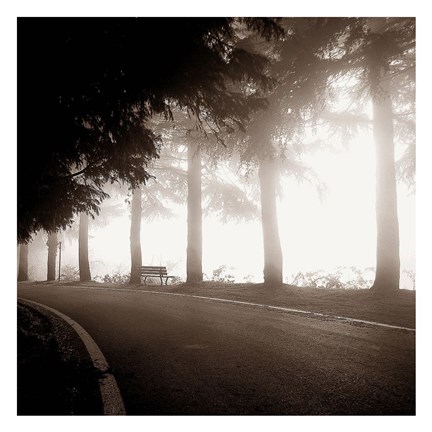 Framed Roadside Bench Print