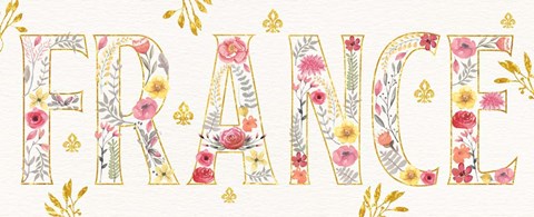 Framed Paris Blooms VI Print