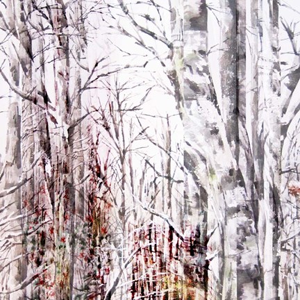 Framed Winter Trees Print
