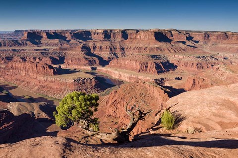 Framed Canyonlands Sunrise Print