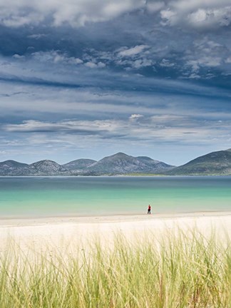 Framed Cautious Swimmer Print