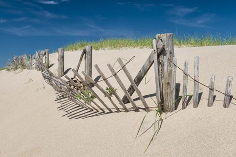 Framed Worn Beach Fence Print