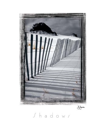 Framed Shadows Print