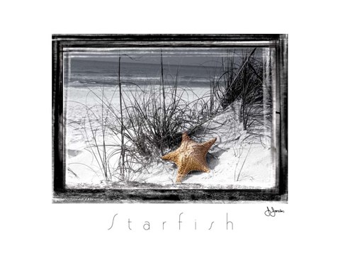 Framed Starfish Print