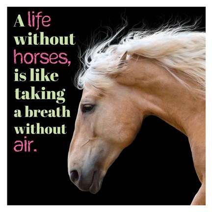 Framed Horse Quote 7 Print