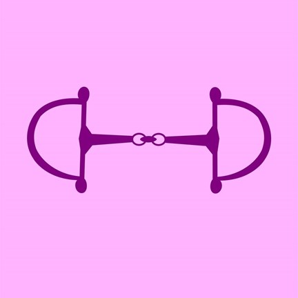 Framed Horse Bit - Pink Print