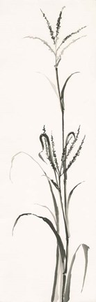 Framed Gray Grasses IV Print