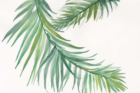 Framed Ferns IV Square Print