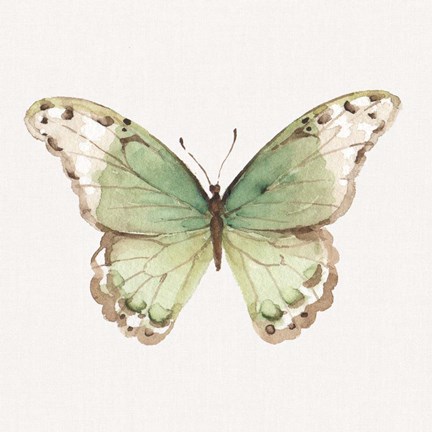 Framed Colorful Breeze XII Print