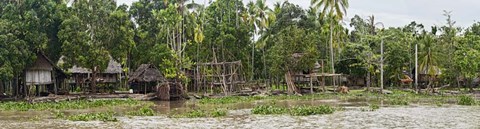 Framed Houses on the Bank of the Sepik River, Papua New Guinea Print