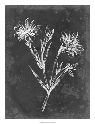 Framed Slate Floral IV Print