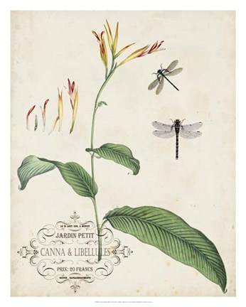 Framed Canna &amp; Dragonflies I Print