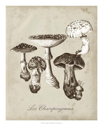 Framed Les Champignons I Print
