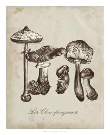 Framed Les Champignons II Print