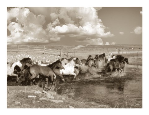 Framed On the Move Print