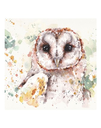 Framed Australian Barn Owl Print