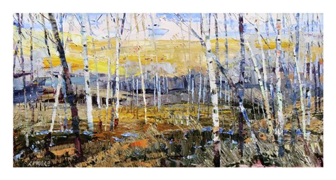 Framed Variance Print