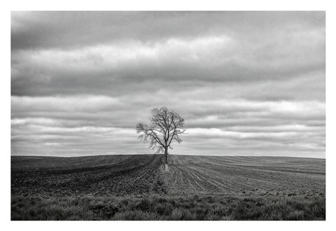 Framed Half Done Print