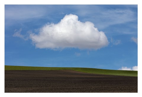 Framed Spring Cloud Print