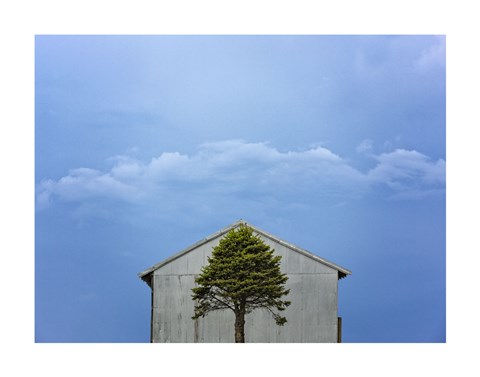 Framed Green and Blue Print