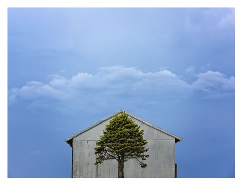 Framed Green and Blue Print