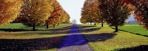 Framed Autumn Road, Storm King Mountain, New York Print