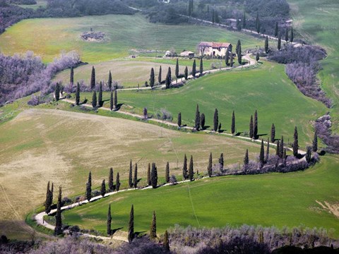Framed Road near Montepulciano, Tuscany Print