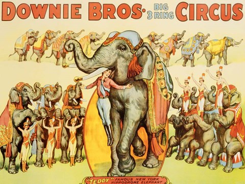Framed Downie Bros. Big 3 Ring Circus, 1935 Print