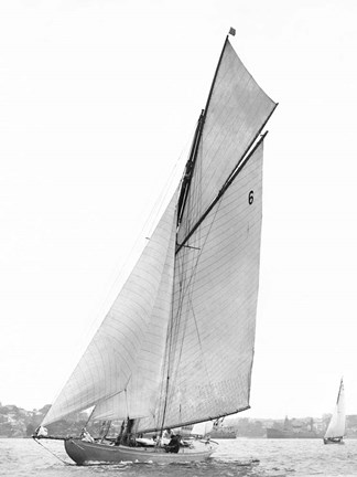 Framed Sailing in Sydney Harbour Print