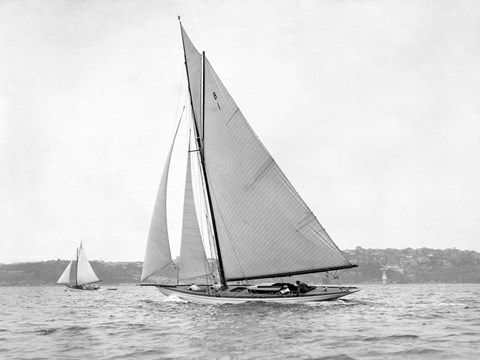 Framed Victorian sloop on Sydney Harbour, 1930 Print
