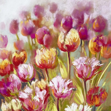 Framed My oh My Print