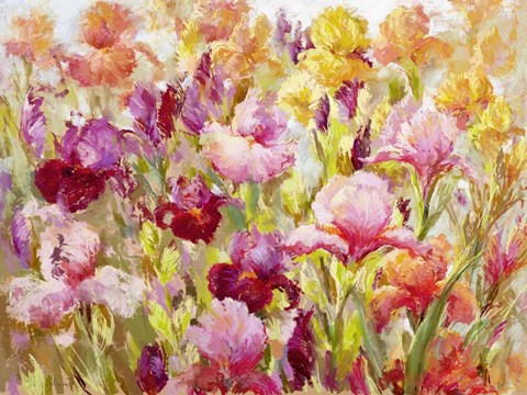 Framed Healthy Obsession Print