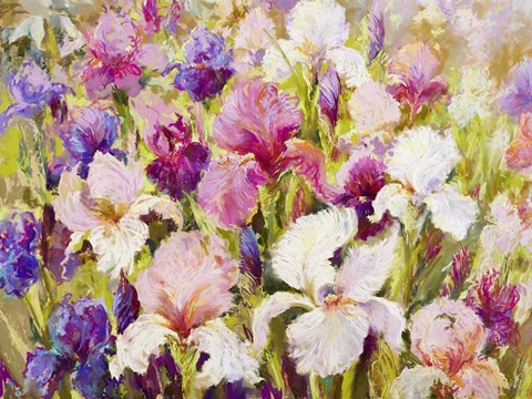 Framed More Than I Can Say Print