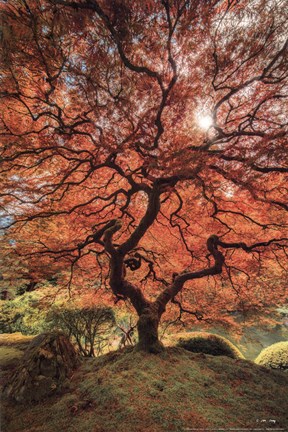 Framed First Colors Of Fall II Print